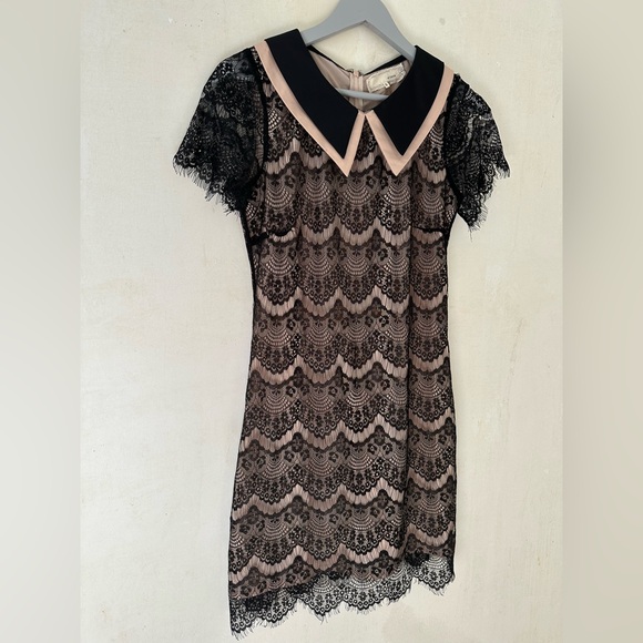 A’REVE Anthropologie Lace Short Sleeve Peter Pan Collar Mini Dress Size Small - Picture 2 of 9